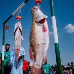 NWONYO FISHING FESTIVAL