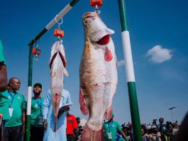 NWONYO FISHING FESTIVAL