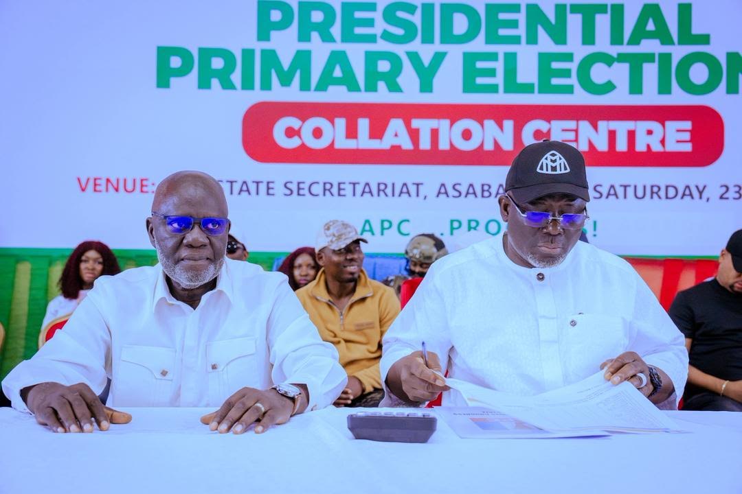 Delta APC primary produces 407,646 votes for Tinubu