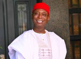 Senator Ned Nwoko