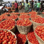 Dei-Die tomatoes and pepper market Important because previous messages in the conversation were important Click to teach Gmail this conversation is not important