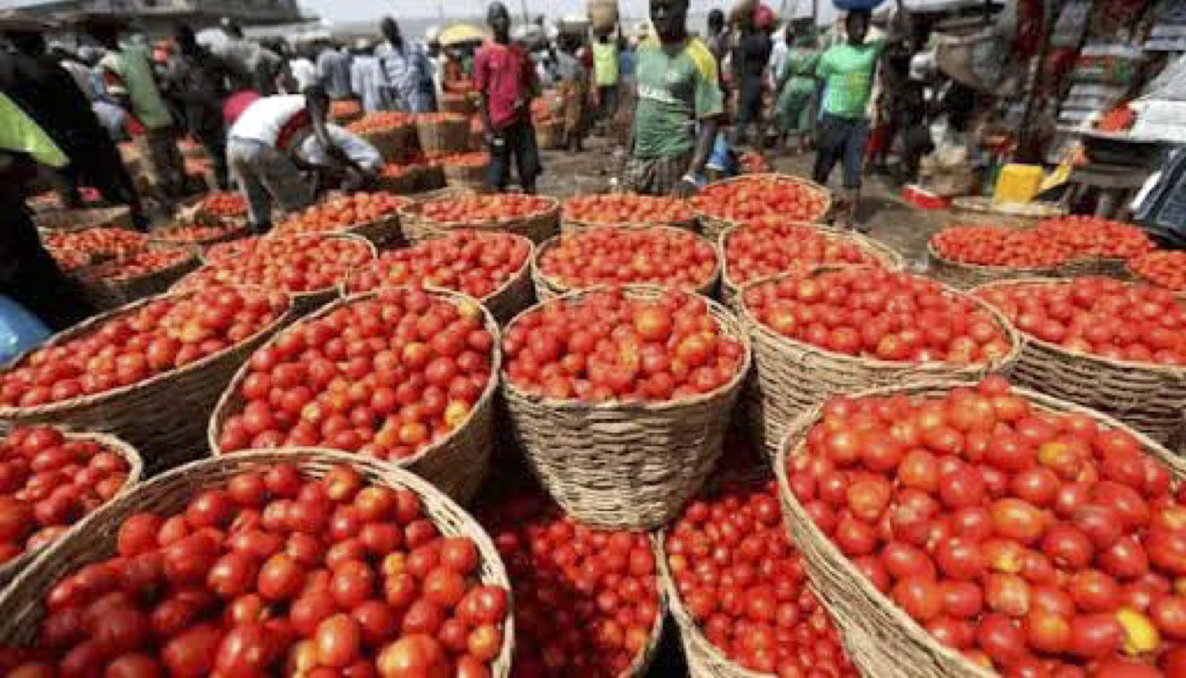 Dei-Die tomatoes and pepper market Important because previous messages in the conversation were important Click to teach Gmail this conversation is not important