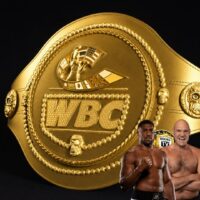 Fury