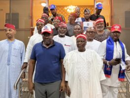 NDC constitutes national selection committee for primaries