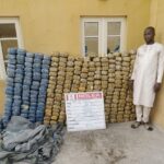 NDLEA intercepts UK, Australia-bound cocaine, opioid consignments in carton walls
