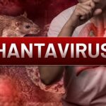 HANTAVIRUS
