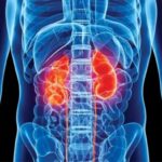 KIDNEYS