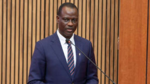 Minister of Finance and Coordinating Minister of the Economy, Mr Taiwo Oyedele