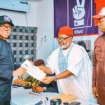 NDC screens Peter Obi for presidential race