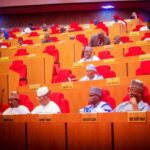 Nigerian-Senate-1045×696