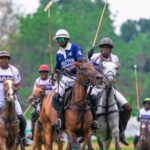 Polo-fiesta-510×340