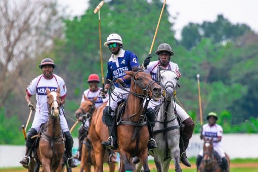 Polo-fiesta-510×340