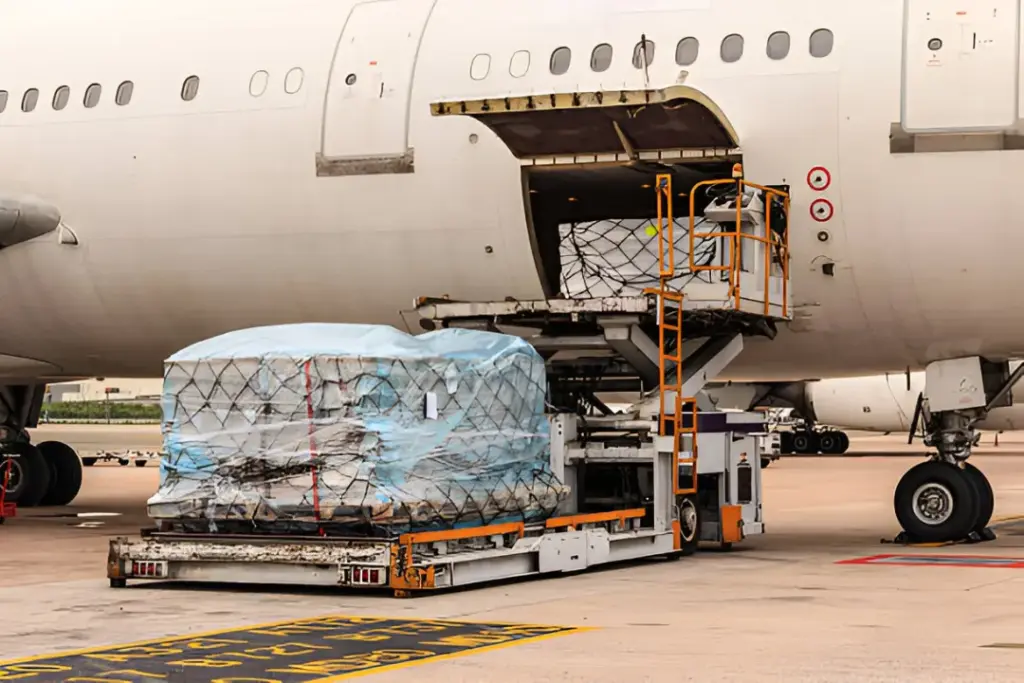 8 cargo airlines adopt National Single Window as licences, permits requests hit 39,039