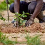 Tree-planting-exercise–1024×683