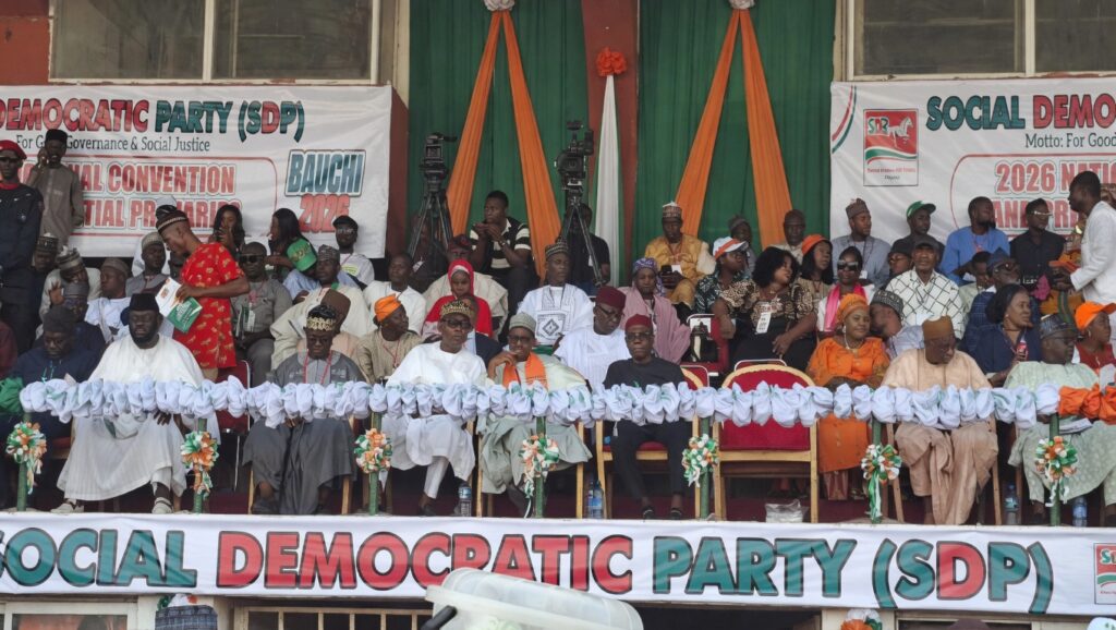 Adebayo emerges SDP presidential candidate,