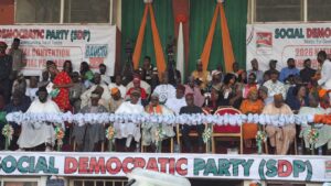 Adebayo emerges SDP presidential candidate,