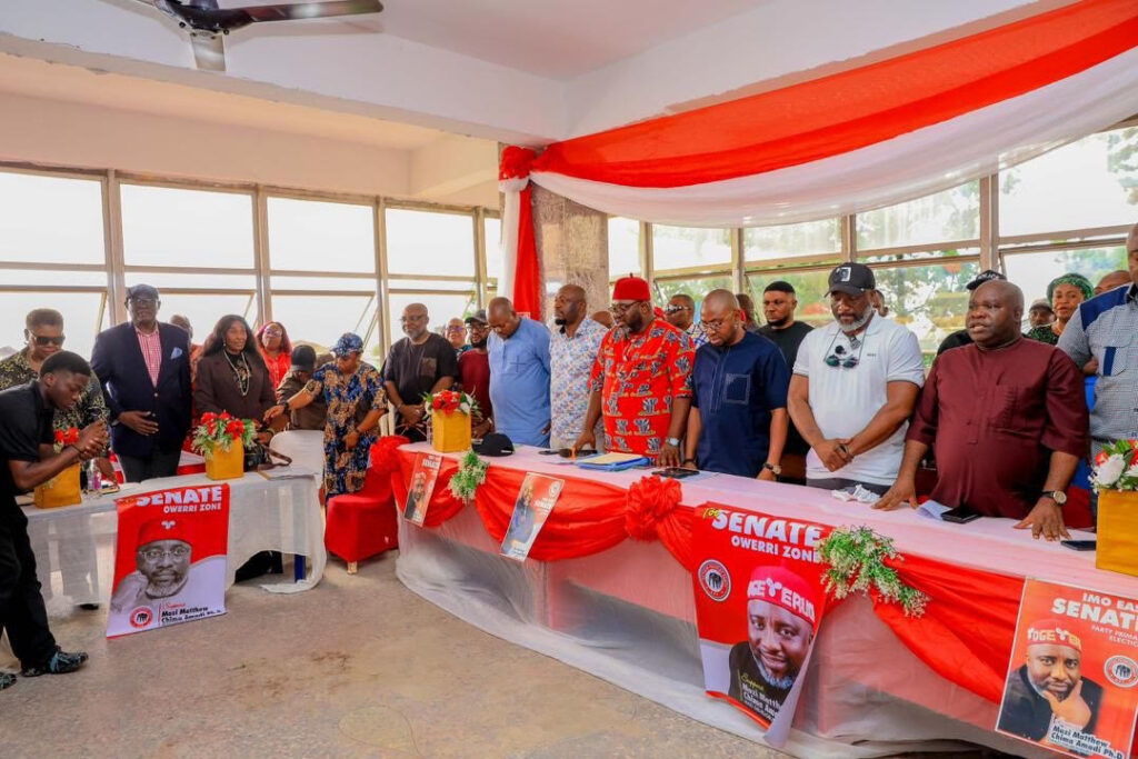 APP picks Chima Amadi for Owerri Senate race