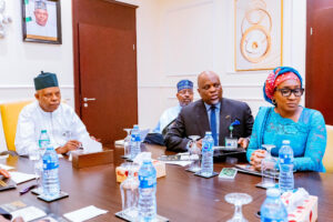 Vice President Kashim Shettima