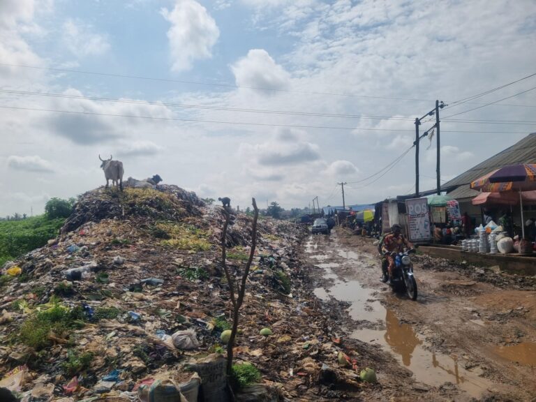 Residents protest Ifo dumpsite over health concerns