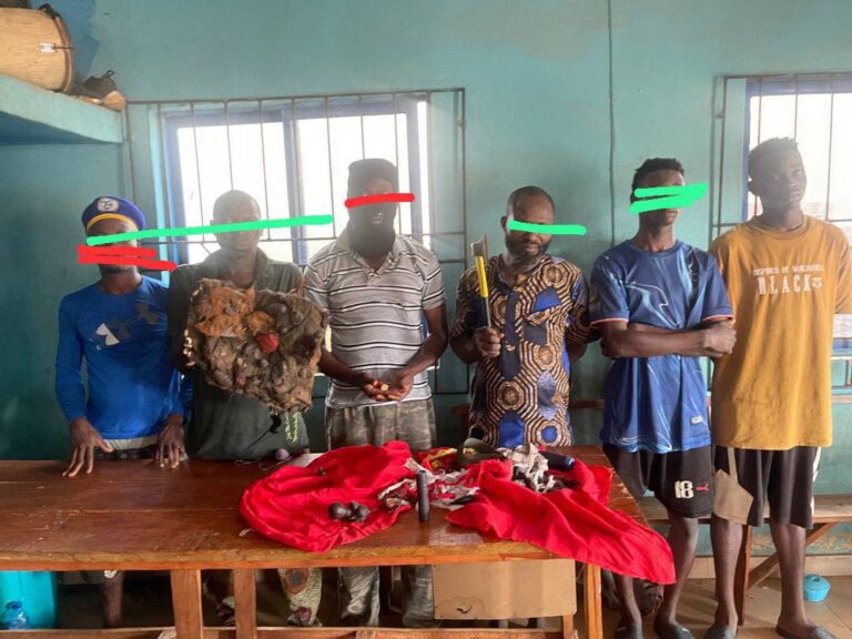 Osun: Police arrest 8 suspected cultists, political thugs