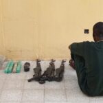 AK-47 rifles in Kano