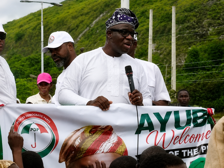 Dr Wole Oluyede