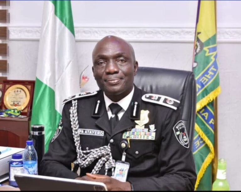 State police will fail if politicians hijack recruitment – Ex-AIG