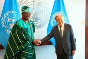 UN: Jimoh Ibrahim appointed Chair of 5th committee of General Assembly