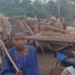 Lakurawa terrorists