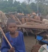 Lakurawa terrorists