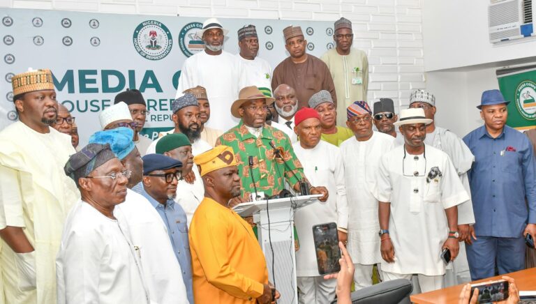 Constitution review: Reps to vote on state police