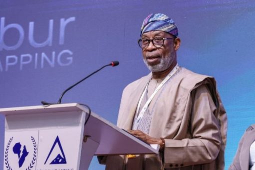 Dr Dele Alake