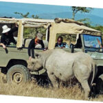 Kenyan Safari