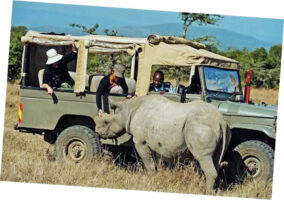 Kenyan Safari