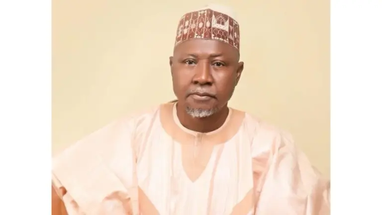 State police: Implement existing laws first, Senator Maidoki to FG