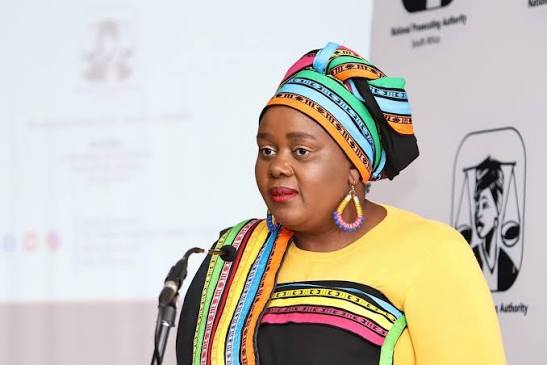 Xenophobia: South African artists losing gigs, businesses – Minister