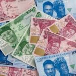 A,Spread,Of,A,Variety,Of,The,New,Nigerian,(naira)