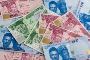 A,Spread,Of,A,Variety,Of,The,New,Nigerian,(naira)