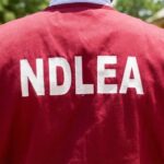 NDLEA