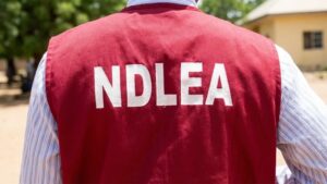 NDLEA