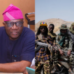 Nigeria not under siege despite security breaches, Onanuga insists