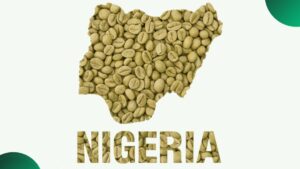Nigerias-Coffee-Revolution-915×515