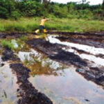 Oil