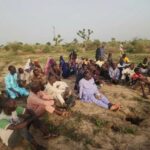 Soldiers rescue 53 hostages, recover eight vehicles in Borno