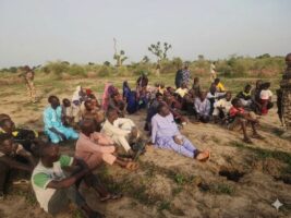 Soldiers rescue 53 hostages, recover eight vehicles in Borno