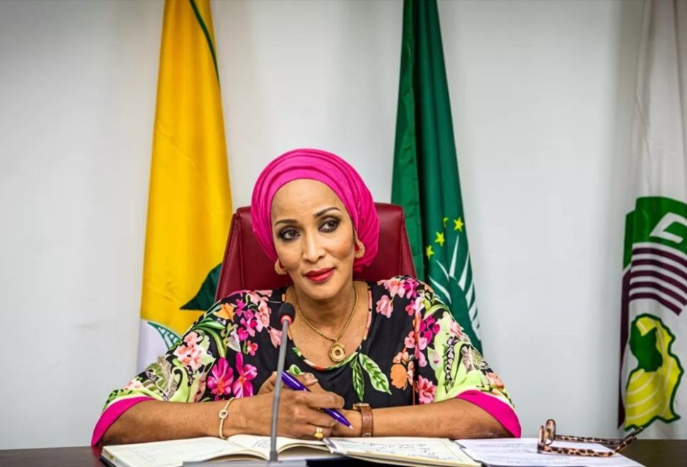 The-Minister-of-State-for-Foreign-Affairs-Amb.-Bianca-Odumegwu-Ojukwu