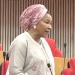 The senator representing the Federal Capital Territory, Ireti Kingibe