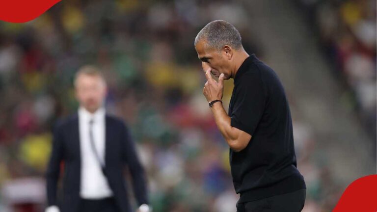 Tunisia sacks coach after 5–1 Sweden World Cup brutal group stage loss
