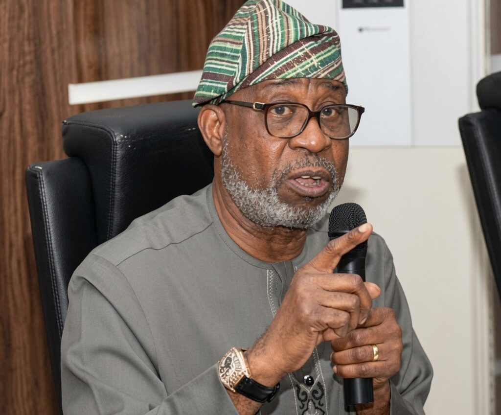 Minister of Solid Minerals Development Dele Alake