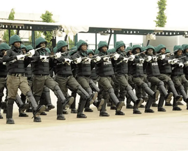 State police: Ex-DIG calls for stronger constitutional provisions